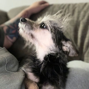 Meet your Posher, Jen